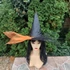 Kép 1/6 - Halloween fekete-narancssárga tüllös-pókos boszorkány kalap arany pókkal