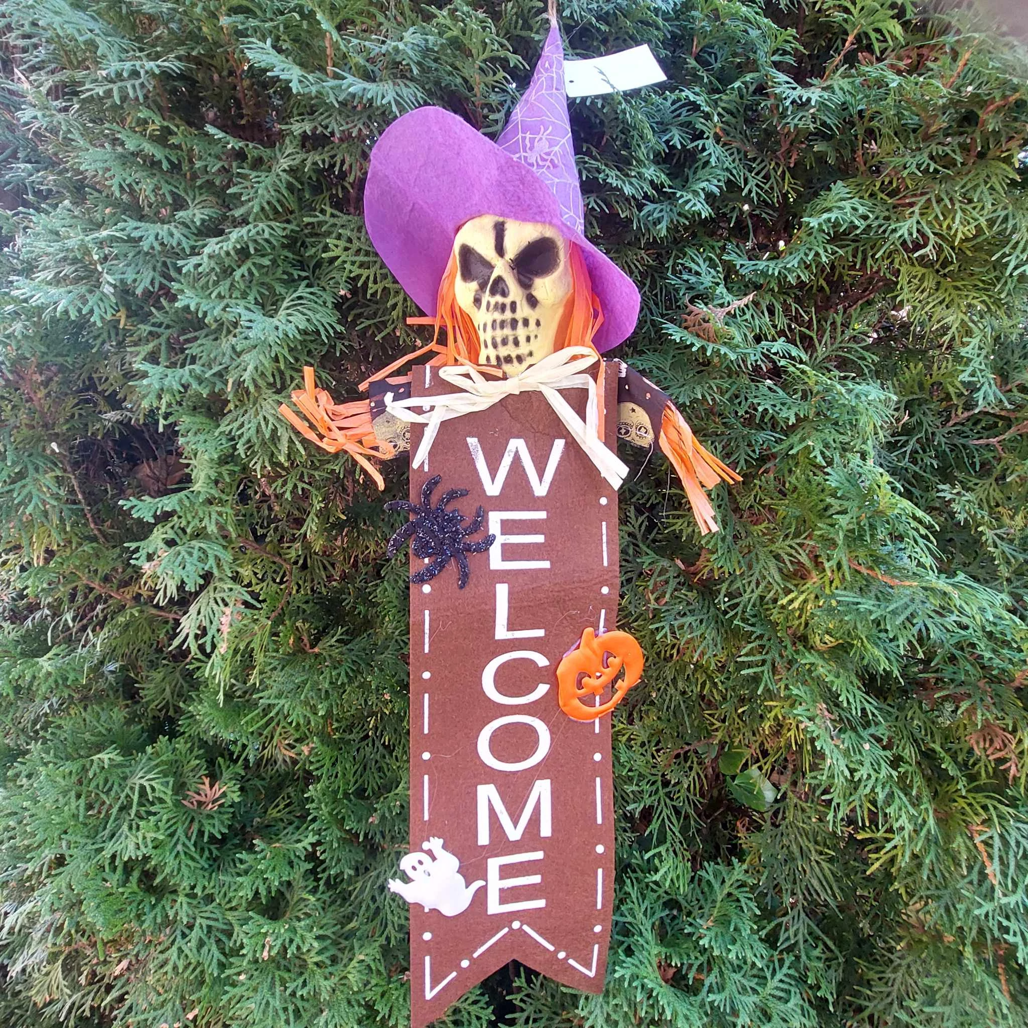 Halloween koponyás ajtódísz 65x17cm, LILA